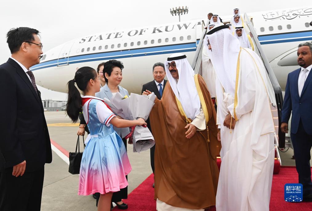 五龙争霸下载